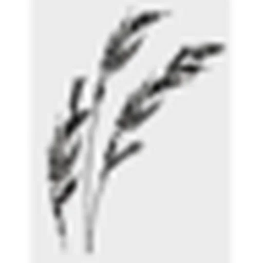 Atlantic Well Drilling Inc logo