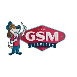 GSM Services logo