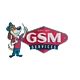 GSM Services logo