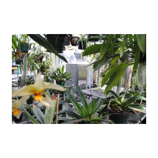 Massachusetts Geothermal Services logo