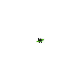 Welsco Drilling Corporation logo
